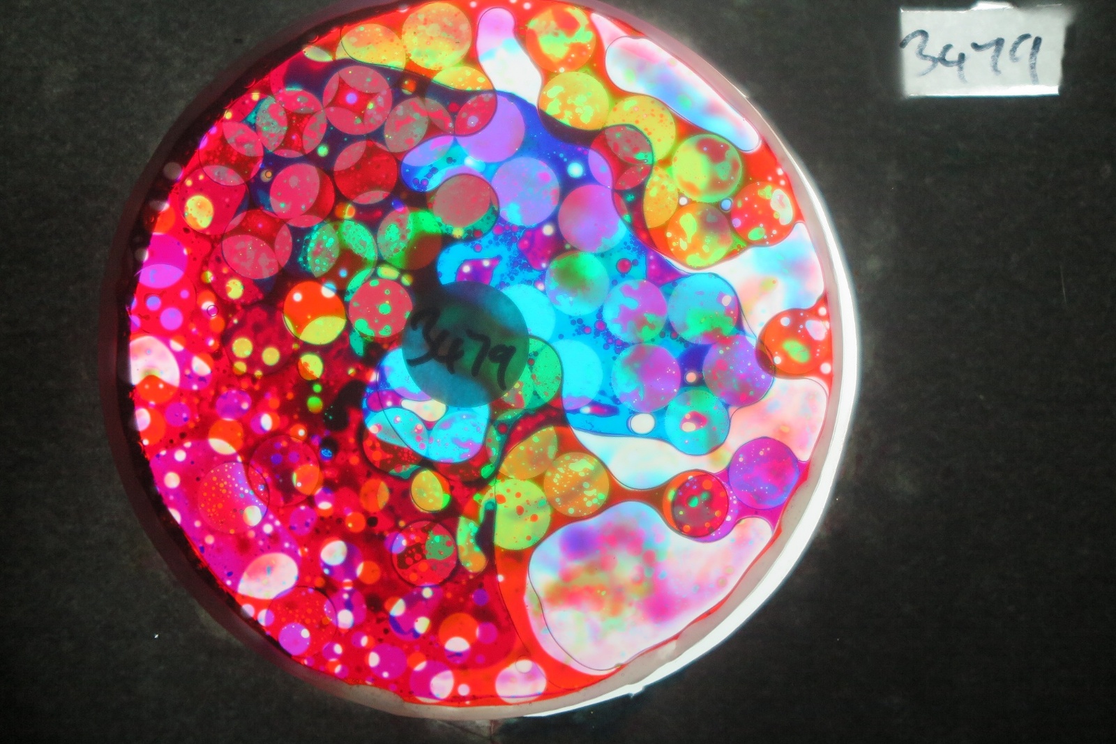 BV3479 bubble vision oil wheel